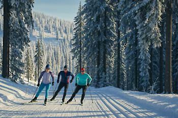 Lastminute Angebote von Hotels im Bayerischen Wald für Urlaub im Winter